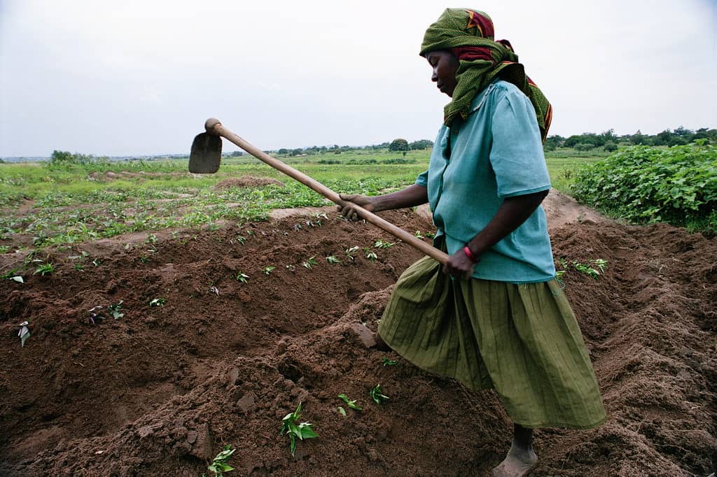 African woman farming by herself