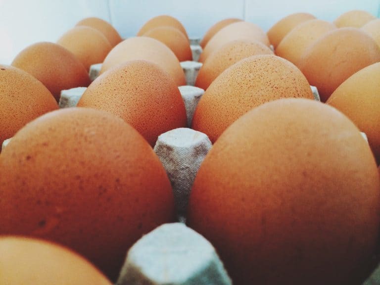 fresh eggs in a cardboard tray