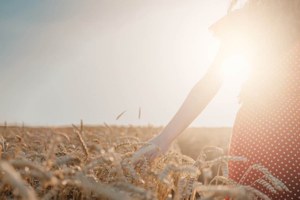 Woman walking through wheat field