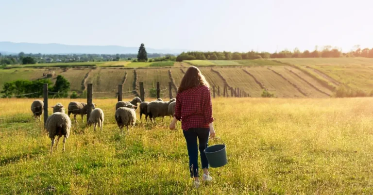 The Farm Bill and What it Means for USDA-Regulated Food Companies